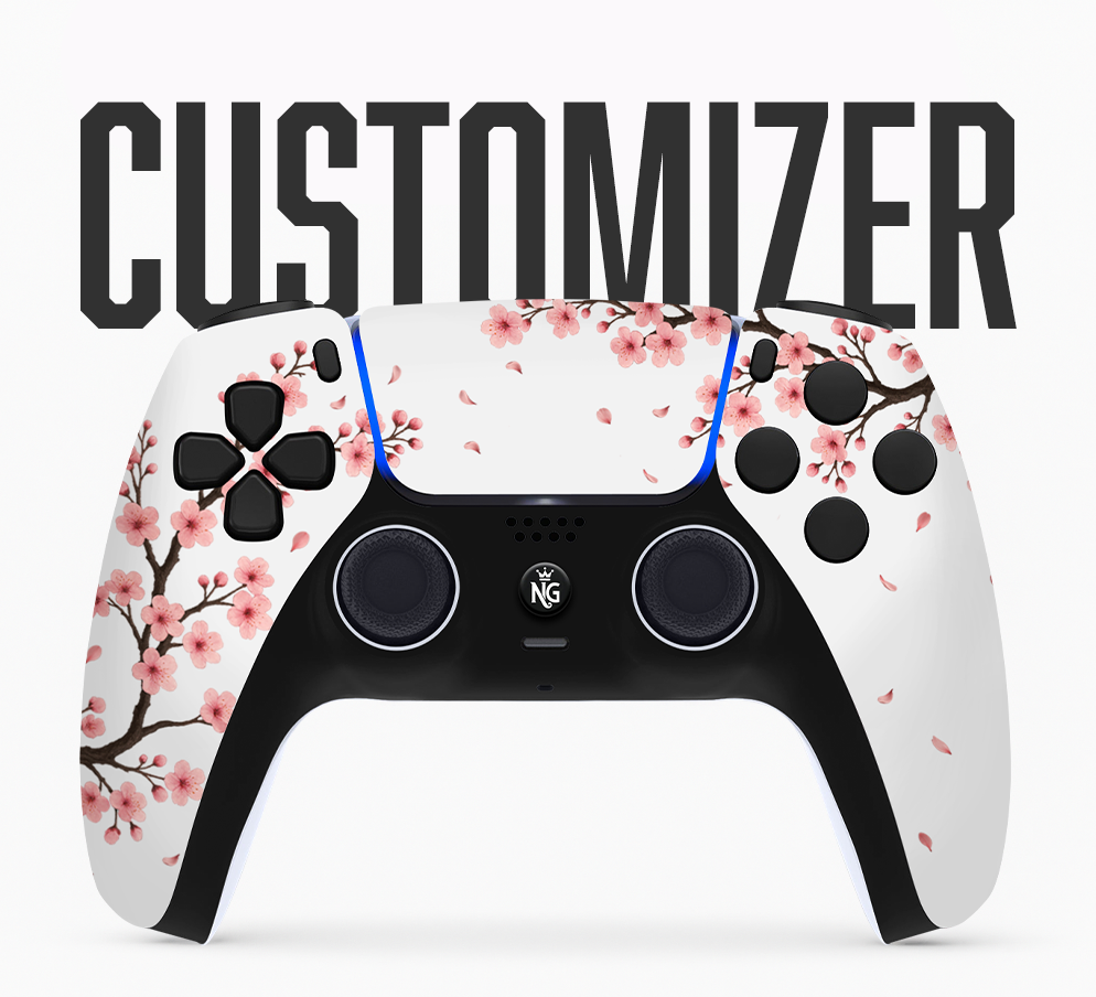 Custom PS5 Controller